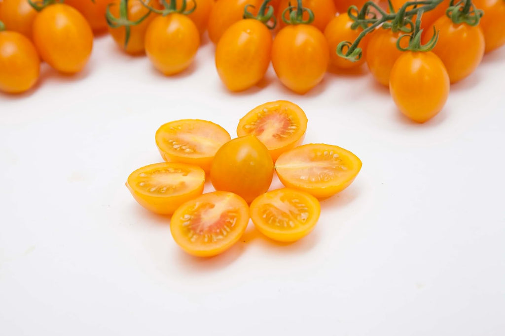 Così Comè, Whole Yellow Datterino Tomatoes unpeeled in water (12.354 oz) 350g