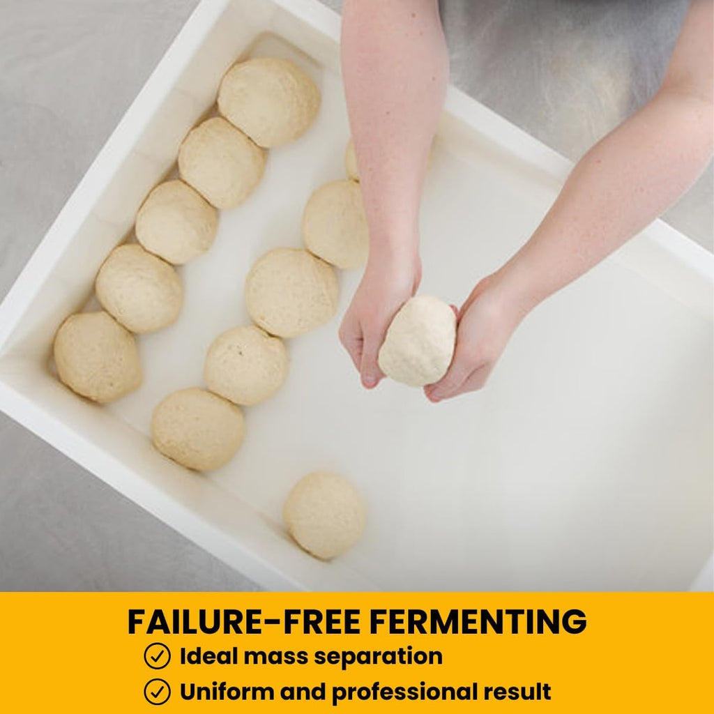 L'Oro Del Sud, 5 Dough Proofing Box Trays with 1 Lid, White, 6 Pack