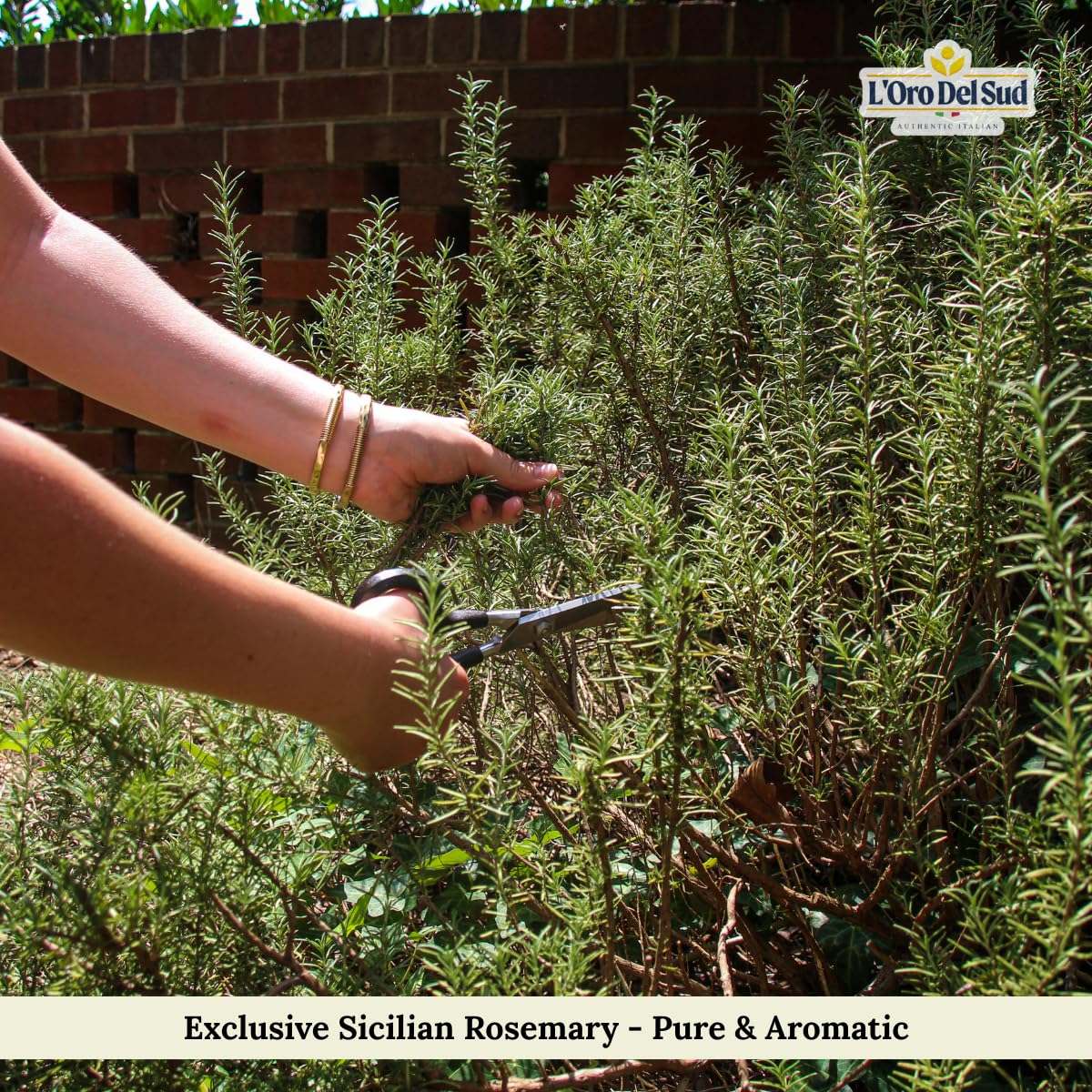 L’Oro Del Sud, Sicilian Rosemary Loose, 2.11 oz (60 g)