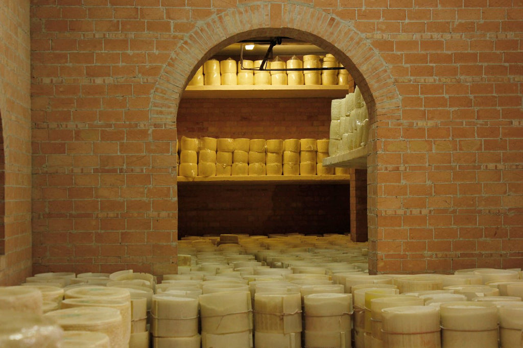 Fresh Grated Genuine Fulvi® Pecorino Romano DOP